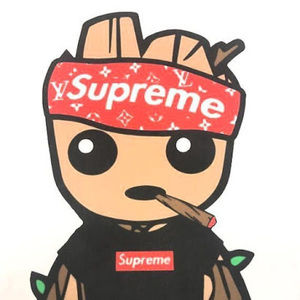 Meet your Posher, Dolph